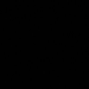 Meet your Posher, Annabelle